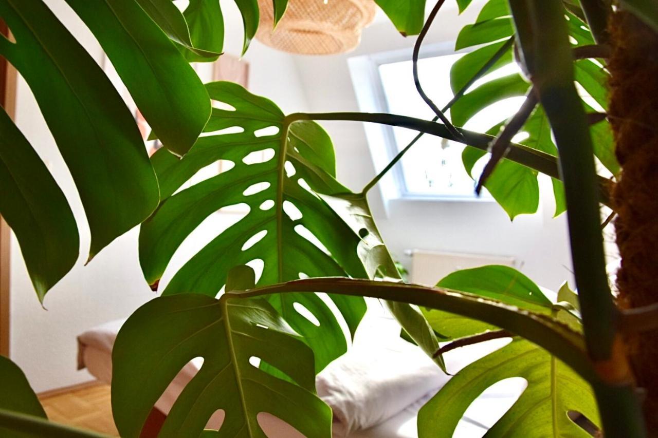 Greenbnbs: Cozy Urban Jungle In The City Centre Essen Exterior photo