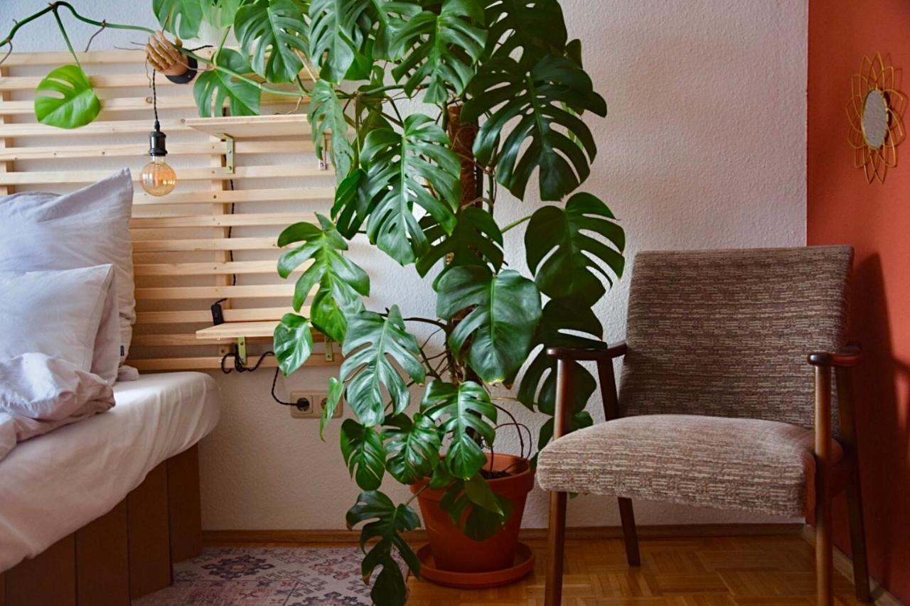 Greenbnbs: Cozy Urban Jungle In The City Centre Essen Exterior photo